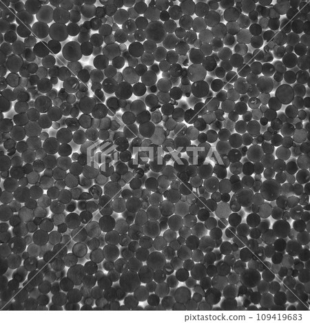 White and black styrofoam surface background texture closeup detail 109419683
