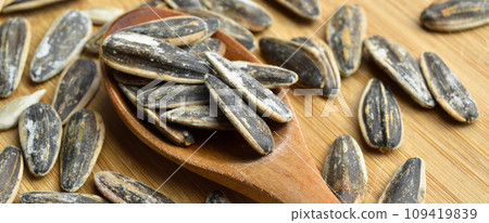 Roasted and salty organic sunflower seeds on wooden spoon Roasted and salty organic sunflower seeds on wooden spoon 109419839