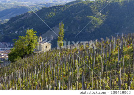 Grand cru vineyard and Chapel of Saint Christopher, Tain l'Hermitage, Rhone-Alpes, France 109419963