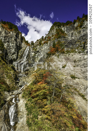 Hakusan Shirakawa-go White Road in Nishiki Autumn Hakusan Shirakawa-go White Road in Nishiki Autumn 109420267