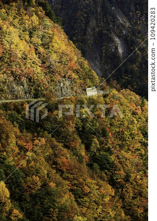 錦秋白山白川鄉白色道路 錦秋白山白川鄉白色道路 109420283