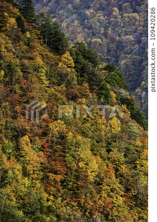 錦秋白山白川鄉白色道路 錦秋白山白川鄉白色道路 109420286