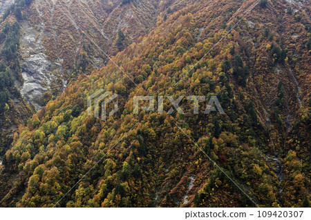 錦秋白山白川鄉白色道路 109420307