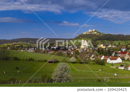 Falkenstein ruins and town with vineyard, Lower Austria, Austria Falkenstein ruins and town with vineyard, Lower Austria, Austria 109420425