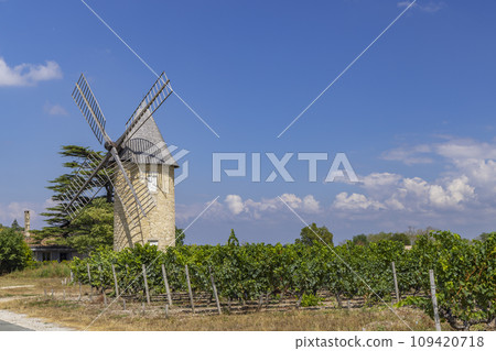 Vineyards with Lamarque windmill, Haut-Medoc, Bordeaux, Aquitaine, France Vineyards with Lamarque windmill, Haut-Medoc, Bordeaux, Aquitaine, France 109420718