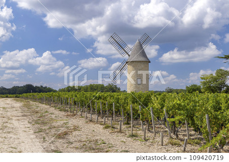 Vineyards with Lamarque windmill, Haut-Medoc, Bordeaux, Aquitaine, France Vineyards with Lamarque windmill, Haut-Medoc, Bordeaux, Aquitaine, France 109420719