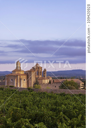 Royal Abbey of Santa Maria de Poblet, cistercian monastery, Catalonia, Spain Royal Abbey of Santa Maria de Poblet, cistercian monastery, Catalonia, Spain 109420928