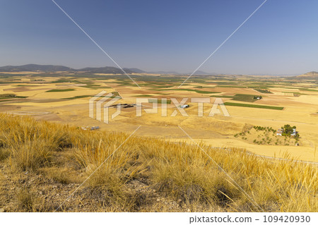 landscape of Castilla La Mancha near Consuegra, Spain 109420930