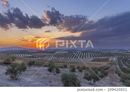 typical Andalusian landscape during sunset, Spain typical Andalusian landscape during sunset, Spain 109420931