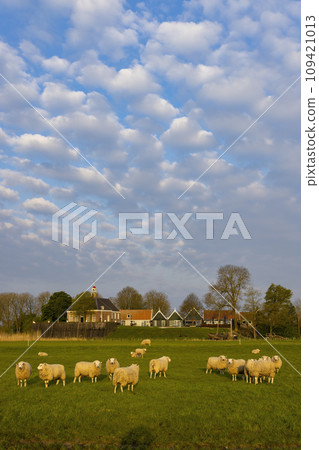 Former island of Schokland, UNESCO World Heritage Site, Netherlands 109421013