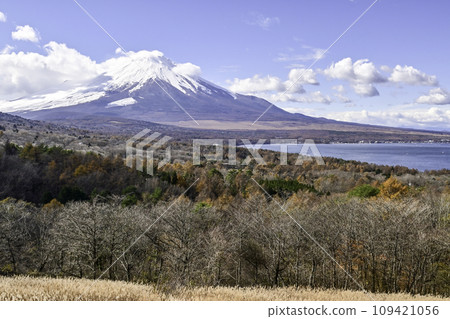 Mt. Fuji in late autumn from near Lake Yamanaka Panorama Platform Mt. Fuji in late autumn from near Lake Yamanaka Panorama Platform 109421056
