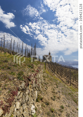 Grand cru vineyard and Chapel of Saint Christopher, Tain l'Hermitage, Rhone-Alpes, France 109421128