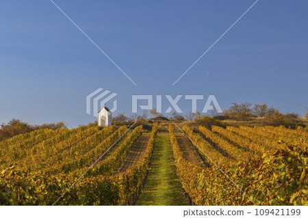 Vineyard and calvary near Hnanice, Znojmo region, Southern Moravia, Czech Republic Vineyard and calvary near Hnanice, Znojmo region, Southern Moravia, Czech Republic 109421199