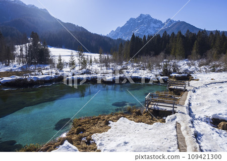 winter landscape in Zelenci, Slovenia 109421300
