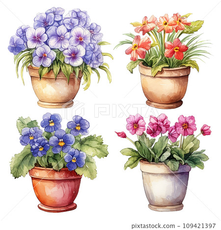 set of home flowers in pots, watercolor drawing. cute illustrations of plants and flowers set of home flowers in pots, watercolor drawing. cute illustrations of plants and flowers 109421397
