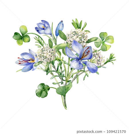 Bunch of spring flowers watercolor illustration isolated on white. Painted green clover and blue, white flowers. Irish lucky symbol hand drawn. Design for St.Patricks day postcard, Easter card Bunch of spring flowers watercolor illustration isolated on white. Painted green clover and blue, white flowers. Irish lucky symbol hand drawn. Design for St.Patricks day postcard, Easter card 109421570