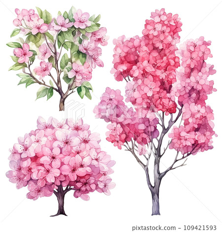 watercolor drawing. set of spring blooming trees and bushes with pink sakura flowers. forest, garden elements, seasons watercolor drawing. set of spring blooming trees and bushes with pink sakura flowers. forest, garden elements, seasons 109421593