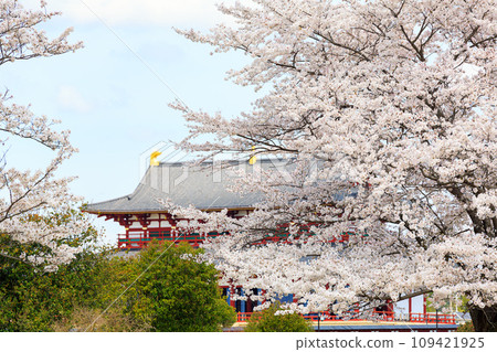 [奈良縣] 奈良市平城宮遺址（攝於2014/04/03） 109421925