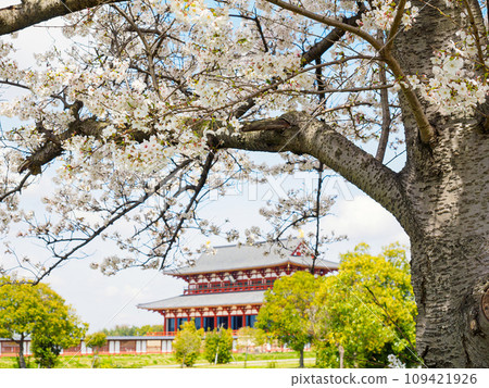 [Nara Prefecture] Nara City Heijo Palace Ruins (Photographed on 2014/04/03) 109421926