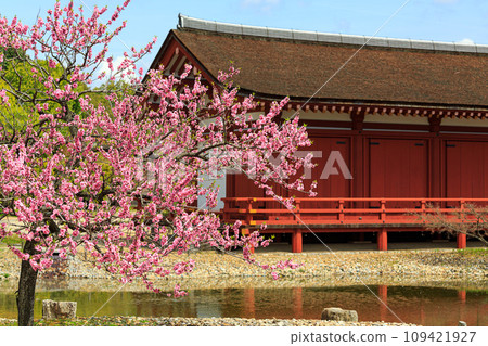 [Nara Prefecture] Nara City Heijo Palace Ruins (Photographed on 2014/04/03) 109421927