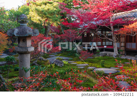 秋天的舊林家宅邸和庭園(愛知縣一宮市) 秋天的舊林家宅邸和庭園(愛知縣一宮市) 109422211
