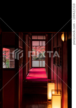 秋天的舊林家宅邸和庭園(愛知縣一宮市) 秋天的舊林家宅邸和庭園(愛知縣一宮市) 109422310