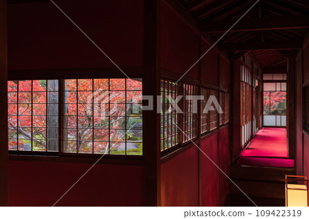 秋天的舊林家宅邸和庭園（愛知縣一宮市） 109422319