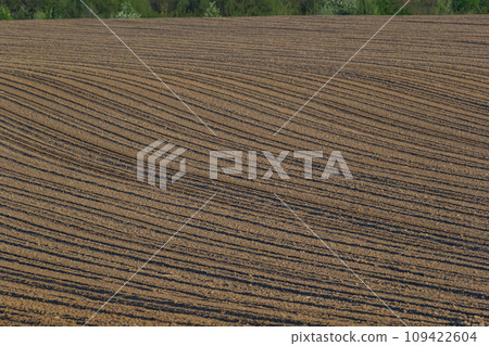 Plowed, Planted And Hilling Rows Black-earth Field. Ground Texture Plowed, Planted And Hilling Rows Black-earth Field. Ground Texture 109422604