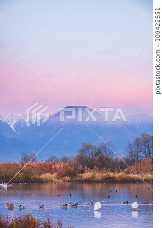 黎明時分的大寶田湯水池【安曇野市明科】 109422851