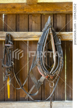 Old country farm, Moravska Nova Ves, Southern Moravia, Czech Republic 109422852
