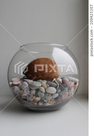 Glass Vase With Sea Pebbles And Whole Coconut On White Background Glass Vase With Sea Pebbles And Whole Coconut On White Background 109423107
