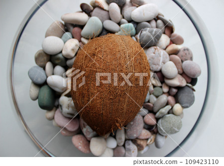 Detailed Stock Photo Of Ripe Brown Coconut In Glass Bowl With Sea Stones 109423110
