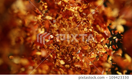 Freeze Motion of Flying Dry Chilli Spice. 109423330