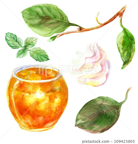 Set of persimmon orange fruit with leaves. Watercolor hand-drawn elements. Isolated on white background. Delicious fruit clip-art illustration. Used on labels, napkins, towels, tableware, package Set of persimmon orange fruit with leaves. Watercolor hand-drawn elements. Isolated on white background. Delicious fruit clip-art illustration. Used on labels, napkins, towels, tableware, package 109423803
