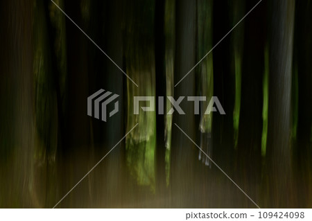 Forest image by ICM 109424098