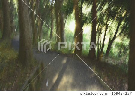 Forest image by ICM Forest image by ICM 109424237