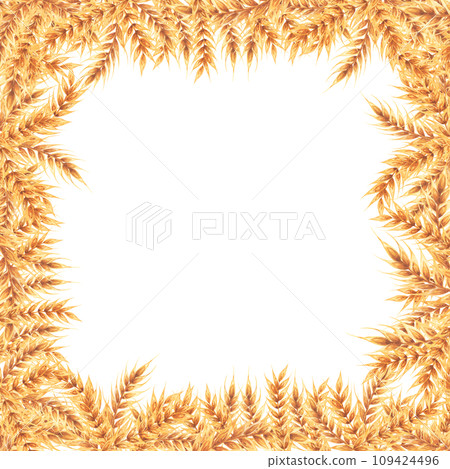 Wheat square field. Frame with ears of wheat. Watercolor illustration hand drawn isolated on white background. For design, flyers , invitations. 109424496