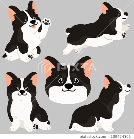 簡單可愛的無主線黑色柯基插畫集 109424501