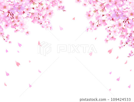 Frame of cherry blossoms and falling petals - Sakura blizzard Frame of cherry blossoms and falling petals - Sakura blizzard 109424533