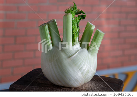 Fresh organic fennel vegetable on wooden cutting board with natural sunlight. 109425163