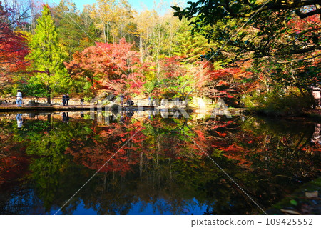 Autumn leaves of Tochigi Park 109425552