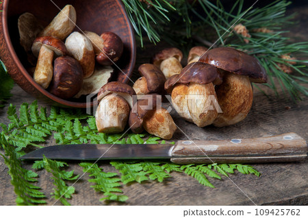 Imleria Badia or Boletus badius mushrooms commonly known as the bay bolete, clay bowl with mushrooms and knife on vintage wooden background.. Imleria Badia or Boletus badius mushrooms commonly known as the bay bolete, clay bowl with mushrooms and knife on vintage wooden background.. 109425762