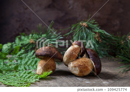 Several Imleria Badia or Boletus badius mushrooms commonly known as the bay bolete on vintage wooden background.. Several Imleria Badia or Boletus badius mushrooms commonly known as the bay bolete on vintage wooden background.. 109425774