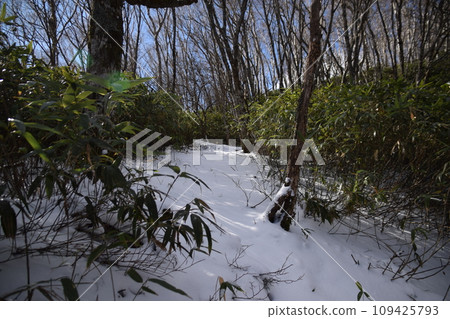 黑瀧山/百村山 109425793