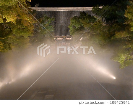 Fog Fog 109425941
