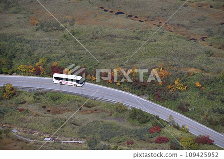旅遊巴士 109425952