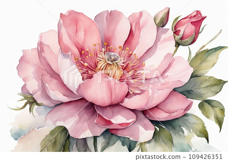flower rustic pink watercolor trending flower rustic pink watercolor trending 109426351