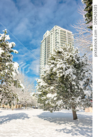 Pathway in a park to new residential building on sunny winter day 109426385