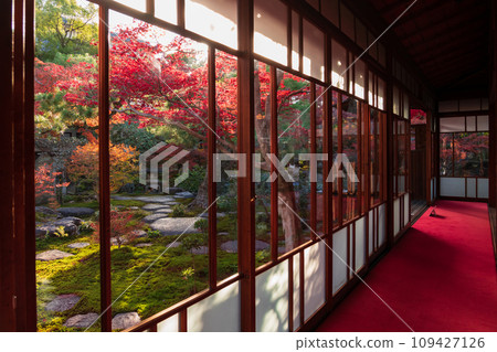 秋天的舊林家宅邸和庭園（愛知縣一宮市） 109427126