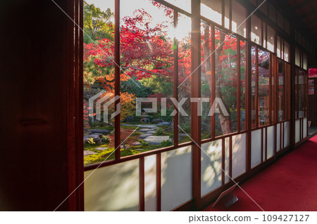 秋天的舊林家宅邸和庭園（愛知縣一宮市） 109427127